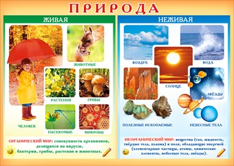 Мир животных и его значение в природе.