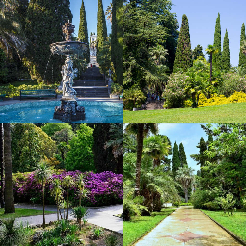 MyCollages (1).jpg MyCollages (1).jpg